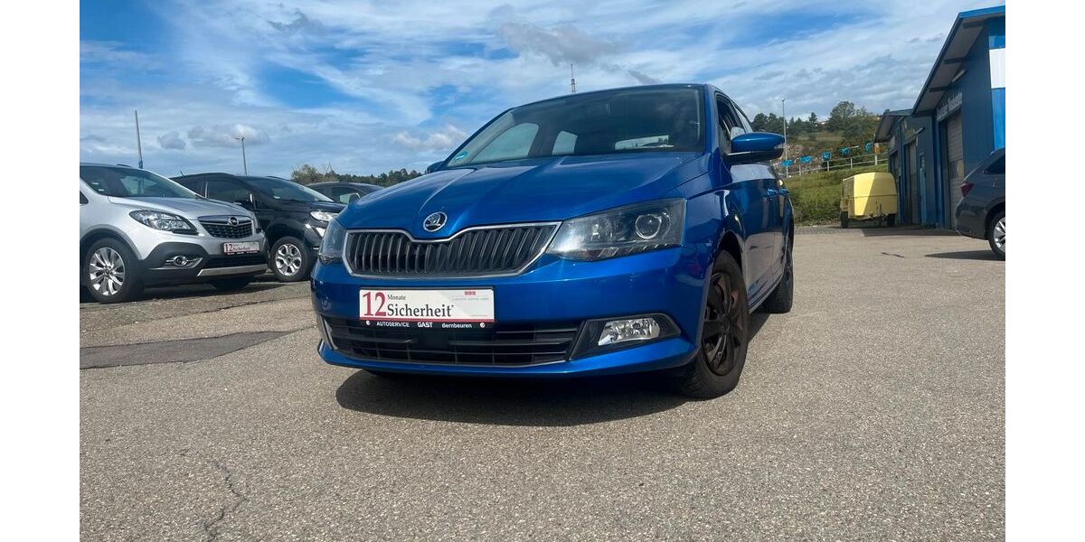 Skoda Fabia 118.000 km 8.299 &euro; Blaustein 89134