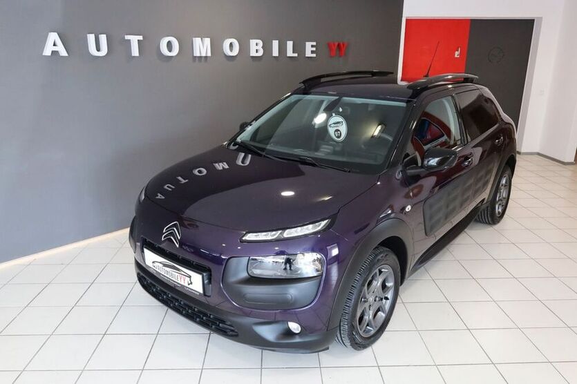 C4 Cactus
