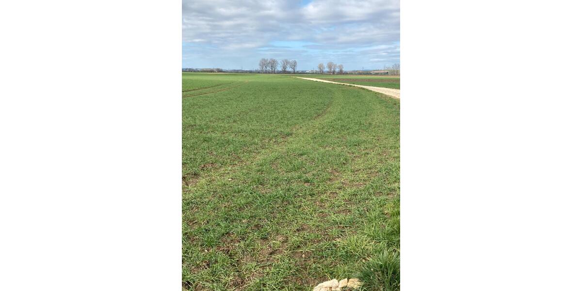 Grundstück Günzburg - 9&euro; | Angebot:26188612