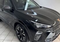 Gebrauchtwagen Cupra Terramar