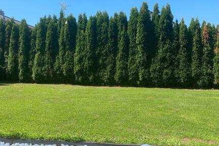 schöne 2-Zimmer Wohnung in Laupheim zu vermieten 2 zimmer