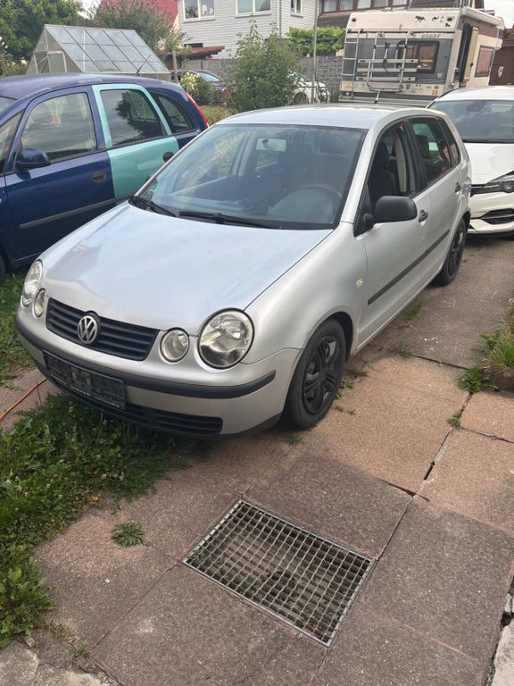 Polo
