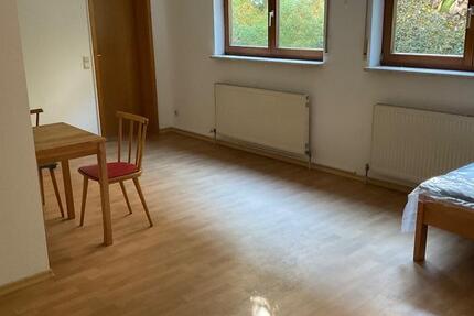 Einzimmerwohnung (möbliert) in ruhiger Lage am Eselsberg 1 zimmer