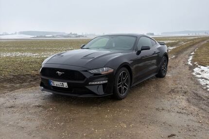 Ford Mustang 165.000 km 16.999 &euro; Ehingen 89584