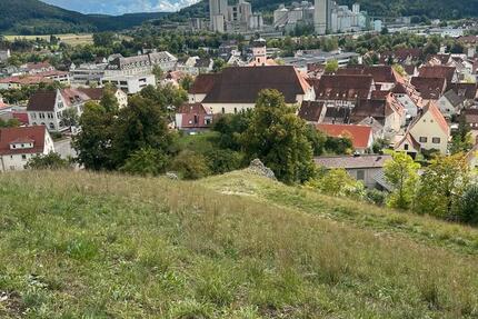 Einfamilienhaus mit Einliegerwohnung 8 zimmer