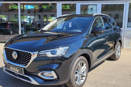 MG EHS 41.850 km 21.990 &euro; Günzburg 89312