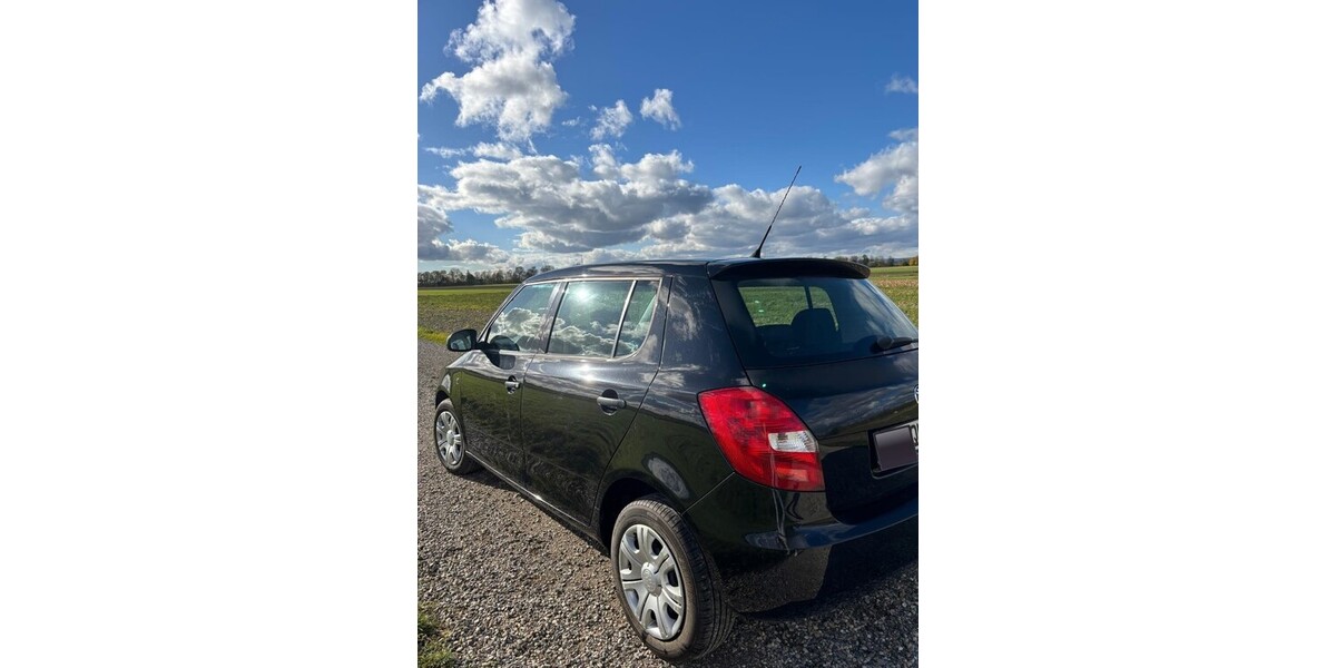 Skoda Fabia 118.449 km 2.999 € Laupheim 88471