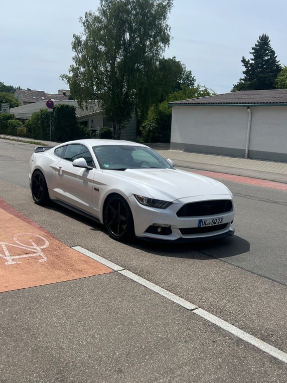 Mustang