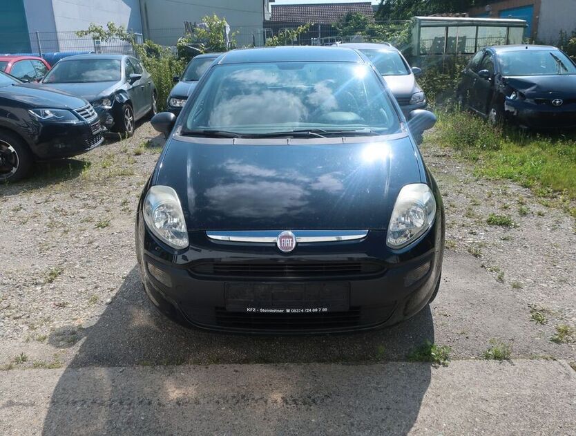 Punto Evo