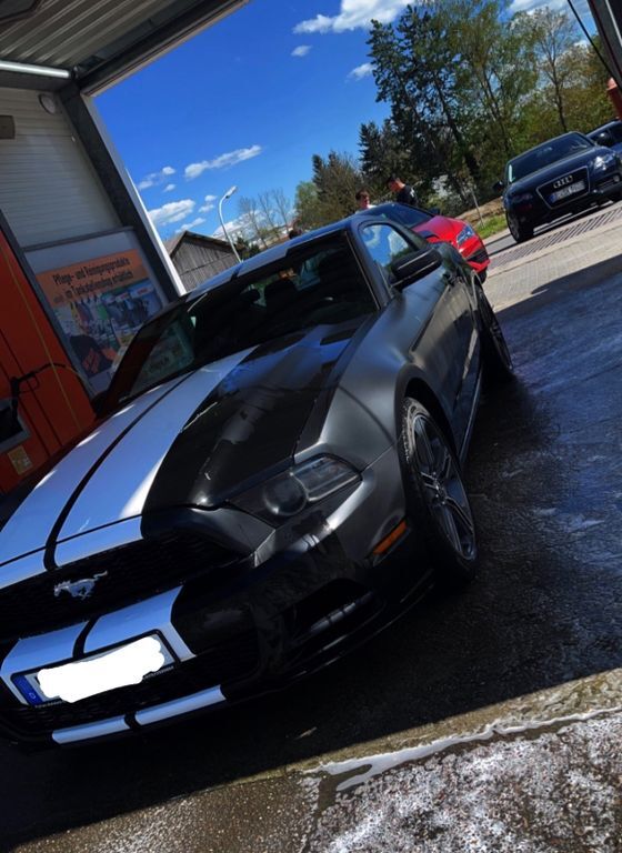 Mustang