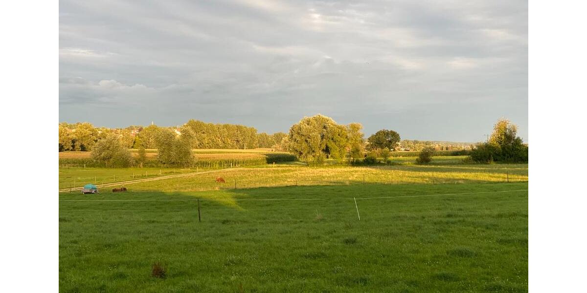 Dachgeschoßwohnung Achstetten - 4.5 Zimmer, 89 m&sup2;, 850&euro; | Angebot:25419423