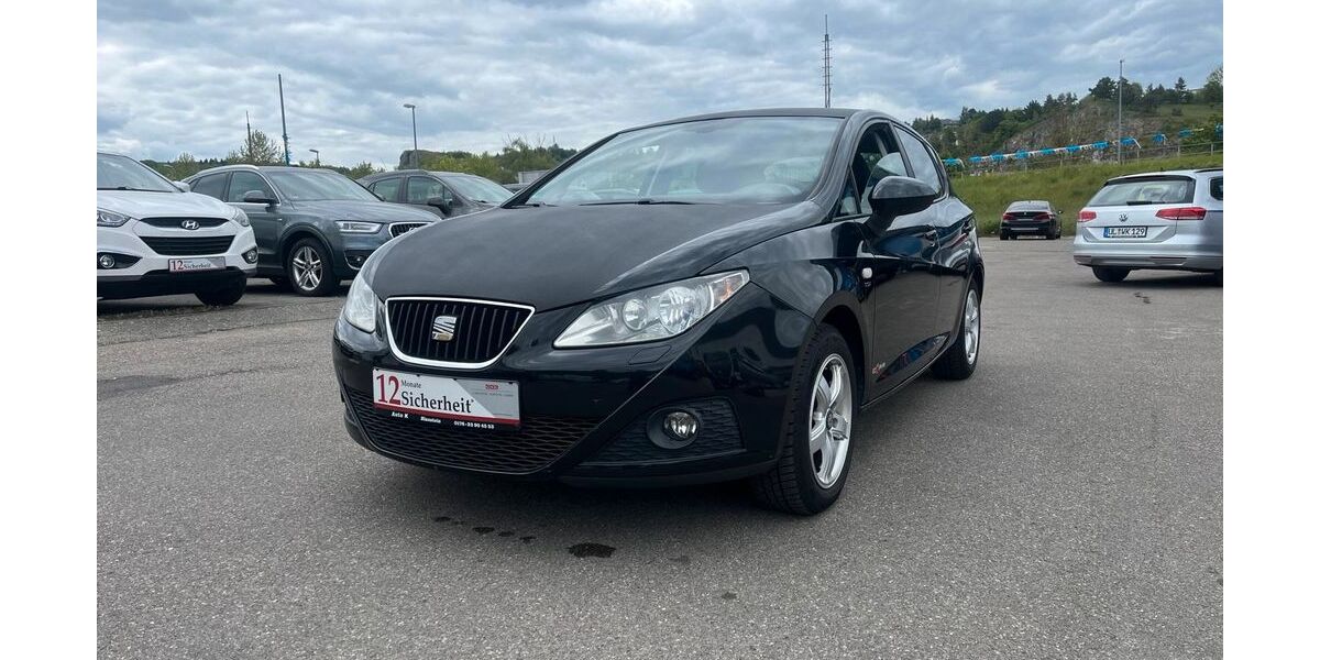 Seat Ibiza 97.000 km 6.499 &euro; Blaustein 89134