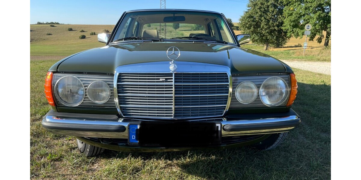 Mercedes-Benz E 230 205.850 km 9.600 &euro; Ulm 89073