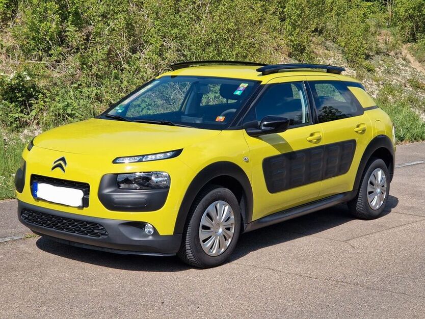 C4 Cactus