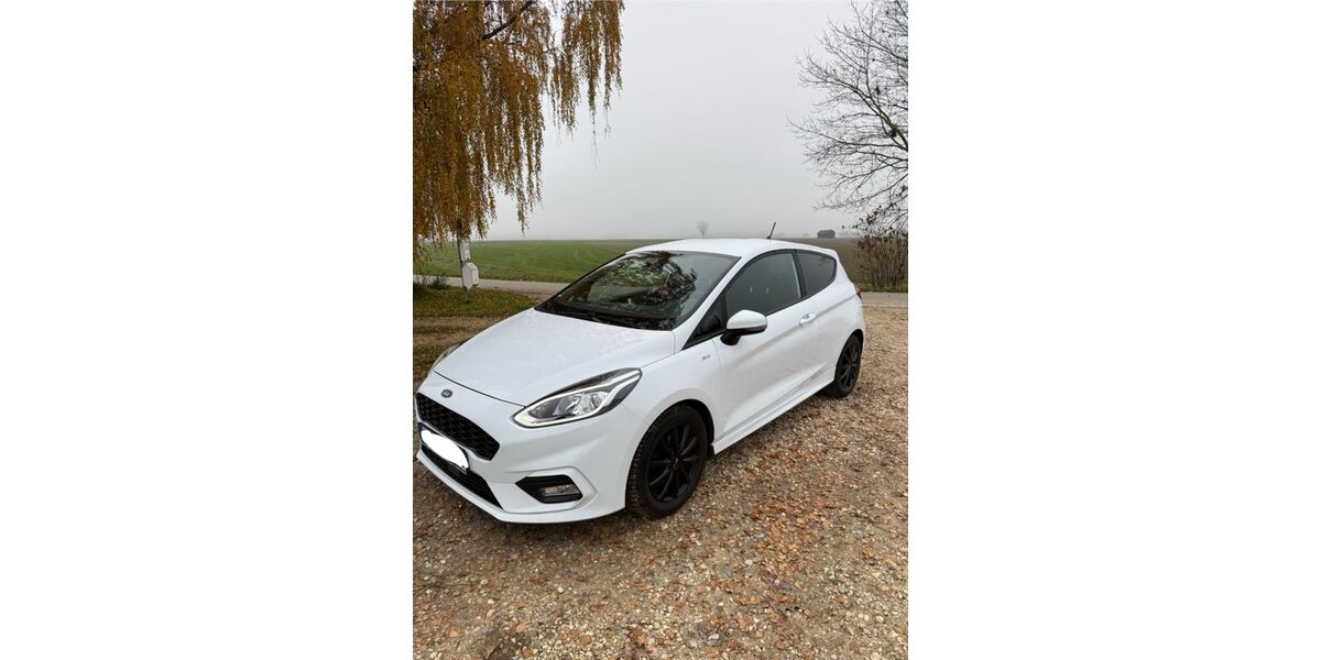 Ford Fiesta 59.500 km 12.500 € Waldstetten 89367
