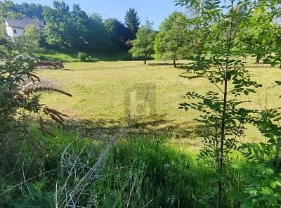 RUHIG GELEGEN MIT FREIER BAUGESTALTUNG - Grundstück Balzheim | Angebot:26945015