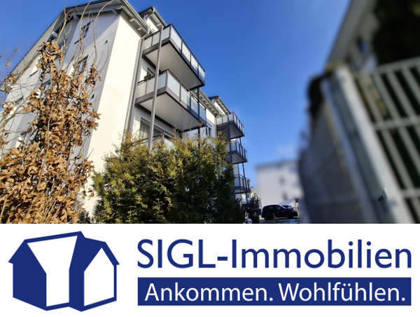 Einfamilienhaus Laupheim - 29 Zimmer, 795 m&sup2;, 3.000.000&euro; | Angebot:19397888