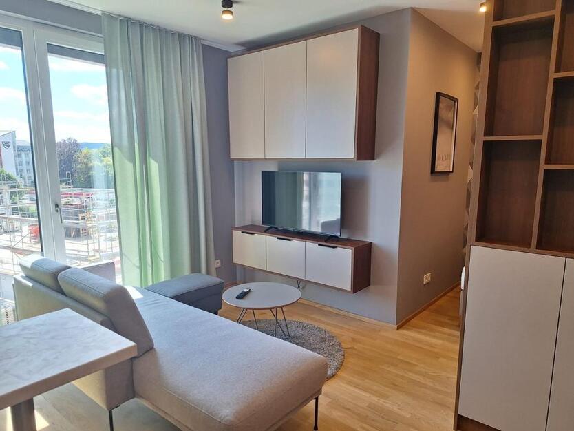 Stilvolles 1-Zimmer-Apartment | Vollmöbliert | im Herzen von Ulm