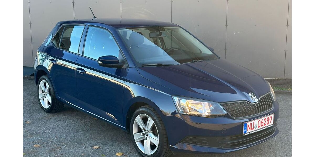 Skoda Fabia 170.000 km 4.990 &euro; Neu-Ulm 89231