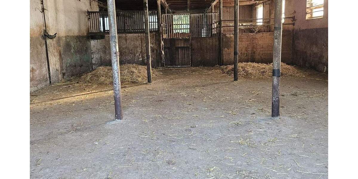 Mehrfamilienhaus, Wohnhaus Mietingen - 520.000&euro; | Angebot:21646448