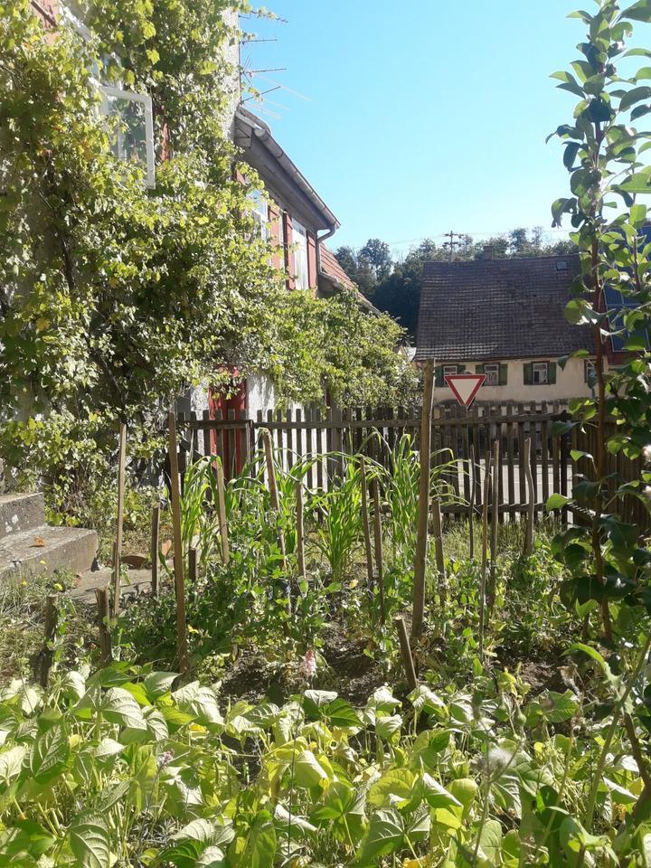 Wohnhaus mit Scheune in GiengenHürben