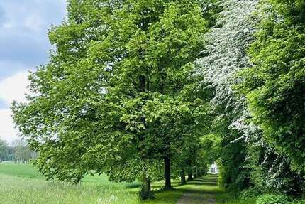 Grundstück in Kötz 1.350.000 € 18400 m² zimmer