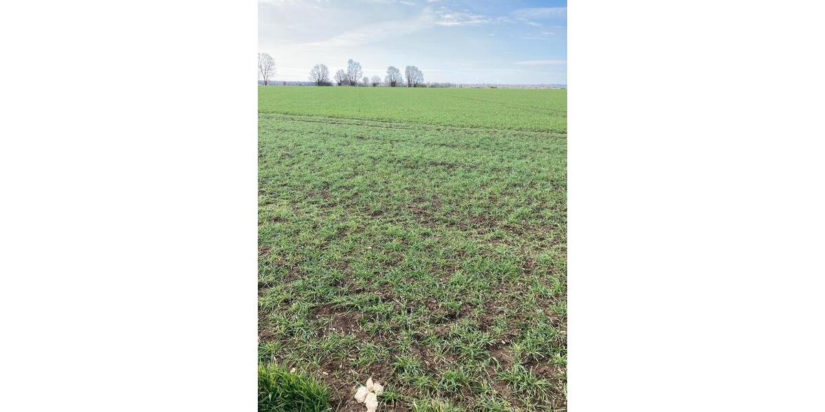 Grundstück Günzburg - 9&euro; | Angebot:26188612