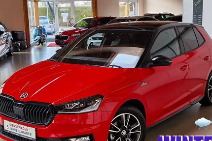 Skoda Fabia 10.000 km 21.890 &euro; Ichenhausen 89335