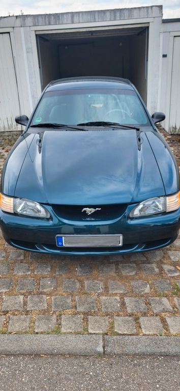 Mustang