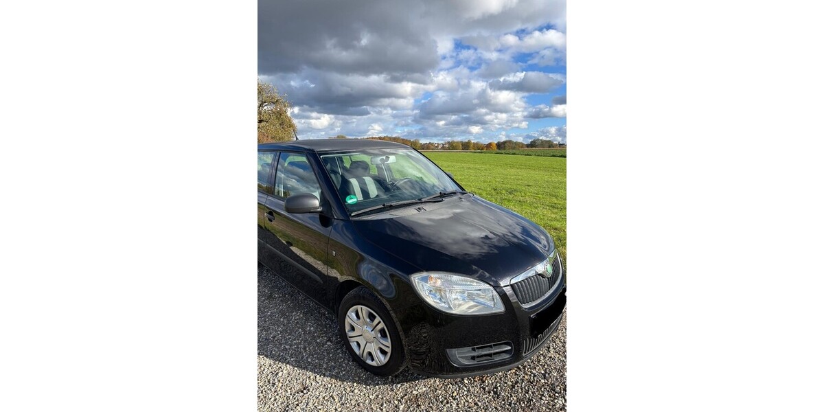 Skoda Fabia 118.449 km 2.999 € Laupheim 88471