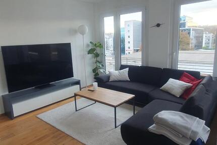 Möblierte 3,5 Zi.-Wohnung Ulm-Söflingen (Penthouse mit Weitblick) 3 zimmer