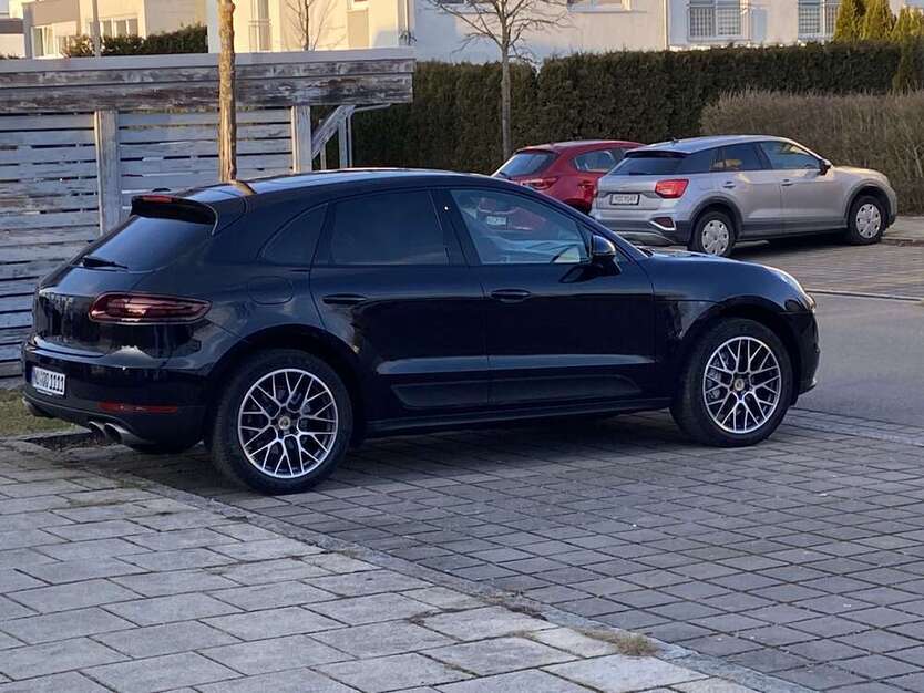 Macan