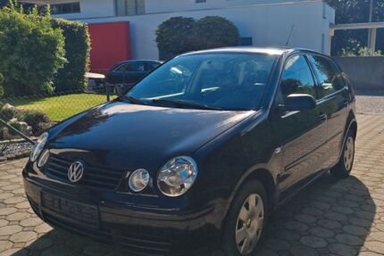 VW Polo 187.245 km 1.190 € Buch 89290