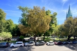STUDENTEN-Wohngemeinschaft - 1 Zimmer in der Frauenstraße Ulm-Mitte - Frauenstraße Parkseite- - Dachgeschoßwohnung Ulm Oststadt | Angebot:26737725