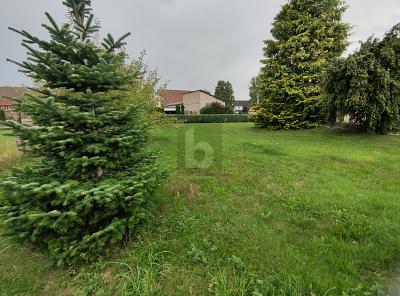 PERFEKT FÜR IHR NEUES EIGENHEIM zimmer