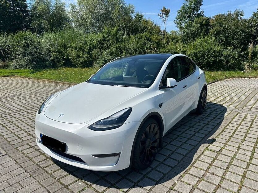 Model Y