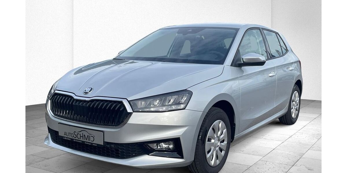 Skoda Fabia 9.103 km 16.580 &euro; Geislingen 73312