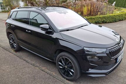 Skoda Karoq 41.000 km 32.199 € Erbach 89155