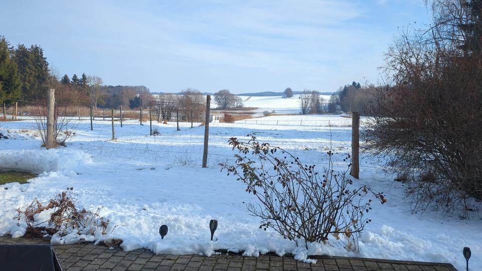 Etagenwohnung Pfaffenhofen an der Roth - 2 Zimmer, 80 m&sup2;, 700&euro; | Angebot:24825995