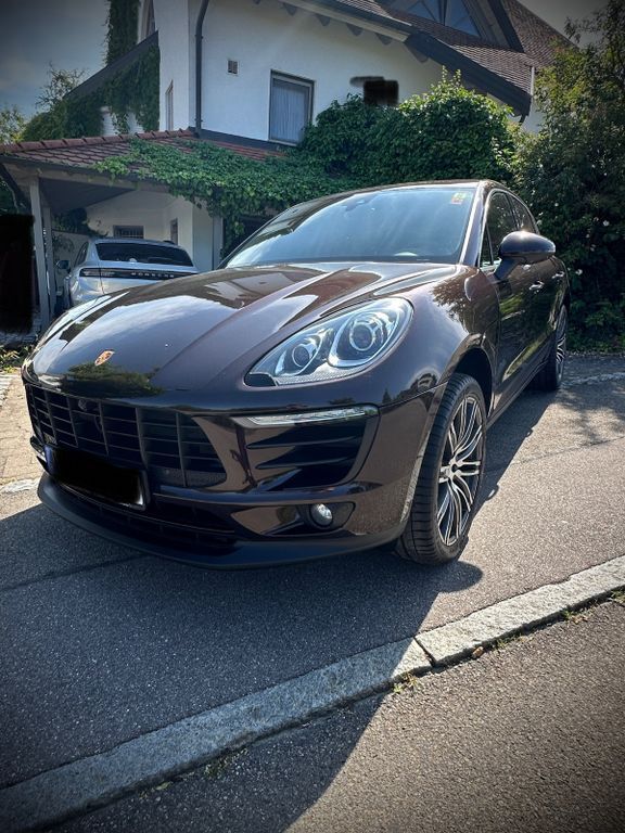 Macan
