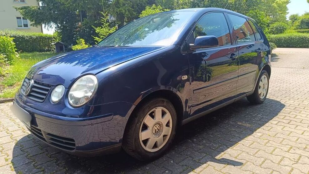 Polo