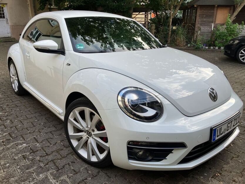 Beetle