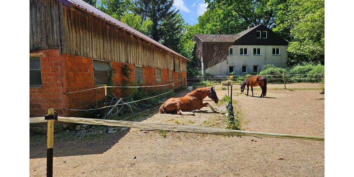 Mehrfamilienhaus, Wohnhaus Mietingen - 520.000&euro; | Angebot:21646448