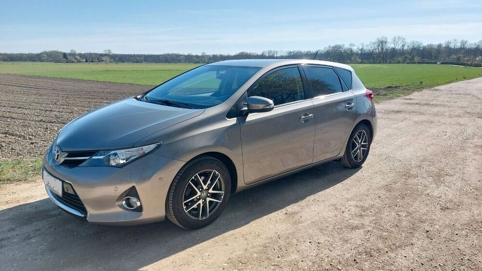 Auris