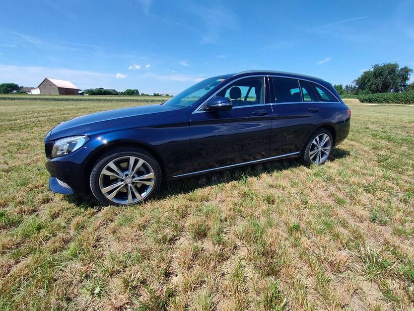 C 250