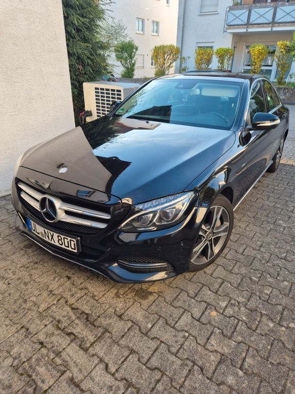 C 250