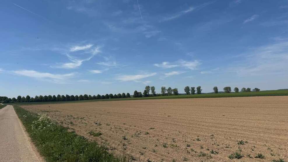 Grundstück zu verkaufen in Blaustein 60.000 € 7831 m²