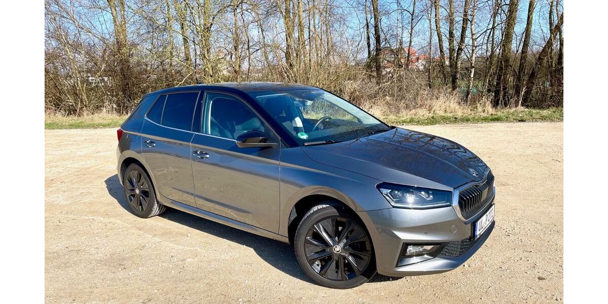 Skoda Fabia 25.000 km 15.700 &euro; Ulm 89079