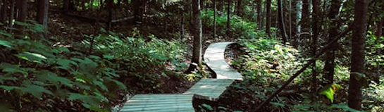 Charlottenhöhle & Baumwipfelpfad