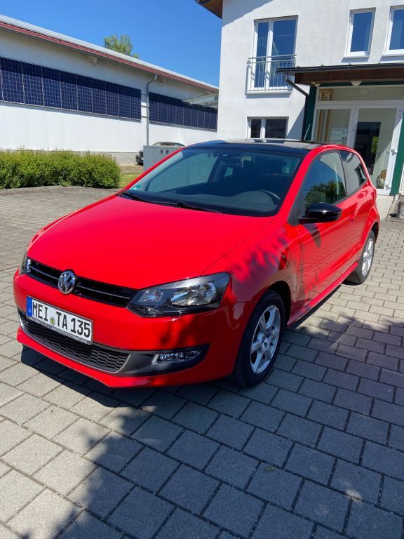 Polo
